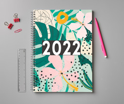 Diaries