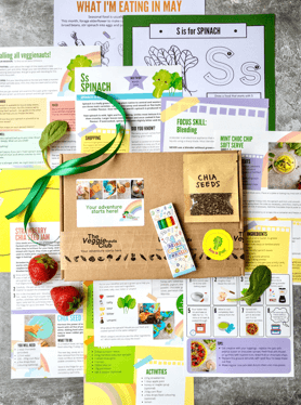 A flat lay of veggienauts box content including recipes and activity cards