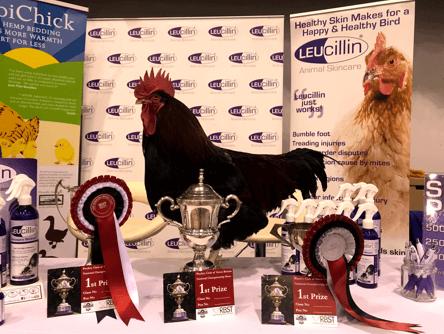 first place hen at the Leucillin event stand