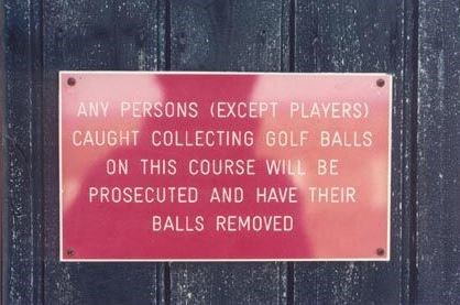 13.JPG