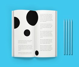 DL Perfect Bound Brochures & Booklets
