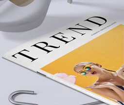A4 Stapled Brochures & Booklets