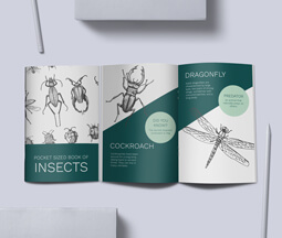 A6 Stapled Brochures & Booklets