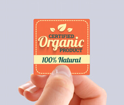 Medium Square Stickers