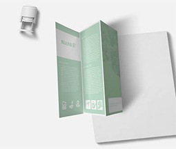 light green folded c fold leaflet