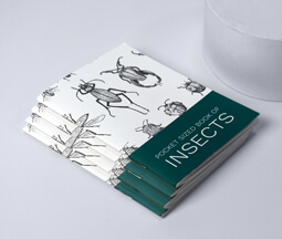 Open A4 printed brochure with lady in centerfold