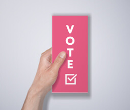 pink electoral folded leaflet