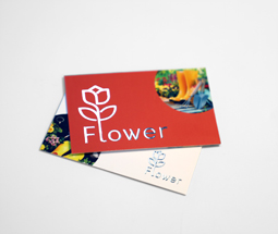 Standard Roller Banners