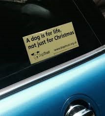 Dog's trust car window sticker