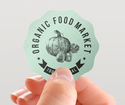 Scallop Stickers