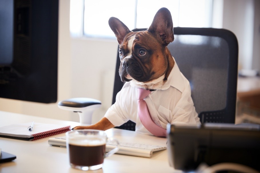 dog sat at a desk in a suit and tie with a coffee