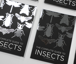 DL Stapled Brochures & Booklets